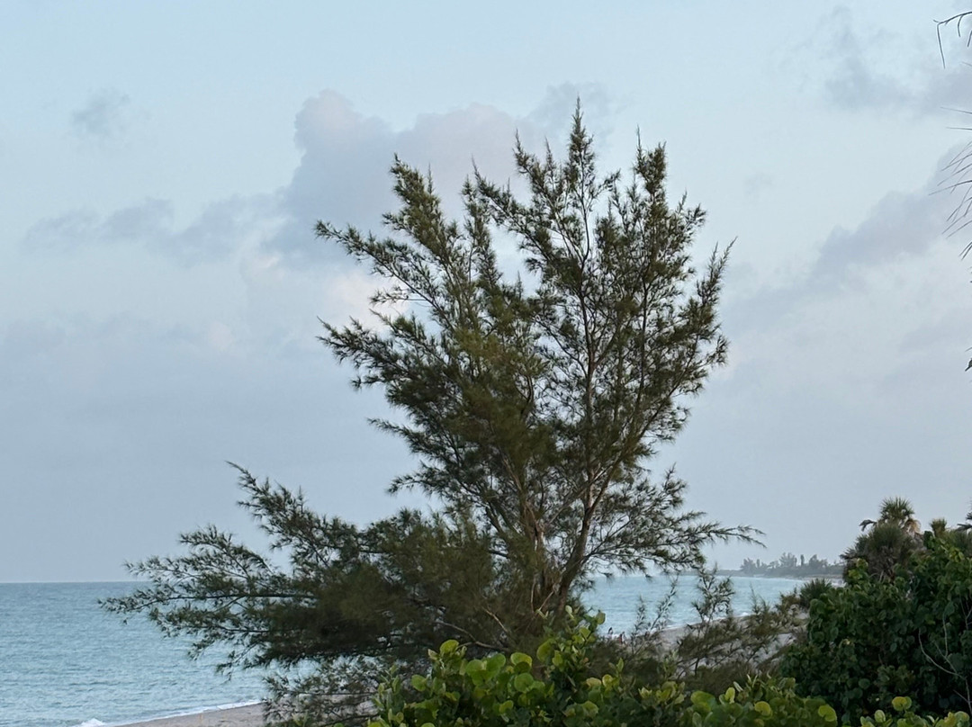 珍珠海滩旅馆主图
