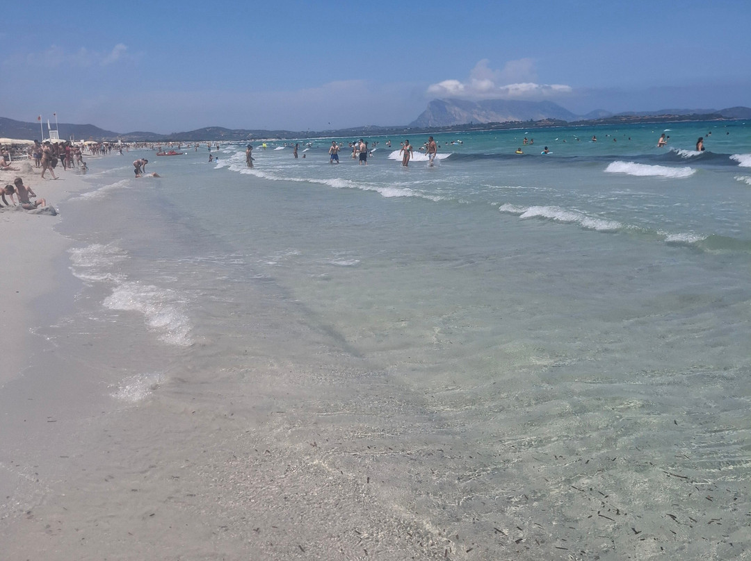 Spiaggia La Cinta-San Teodoro必去景点