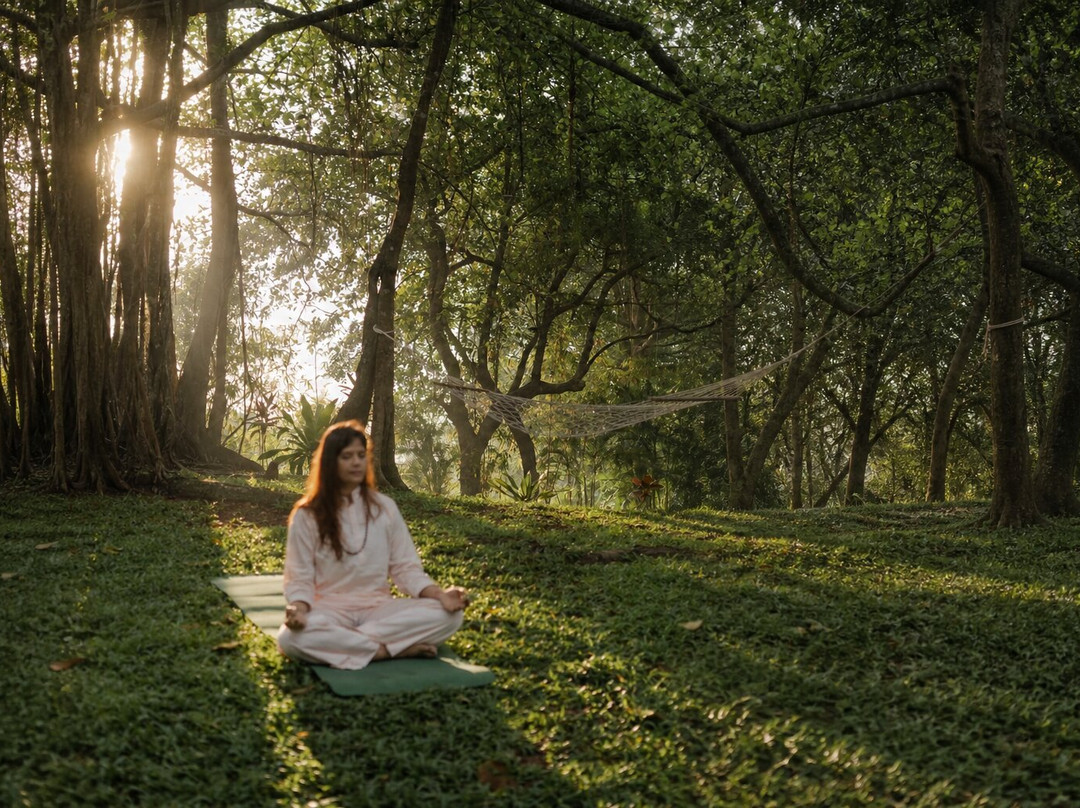 The Postcard Ayurveda Retreat, Old Goa, A Sitaram Ayurveda Experience主图
