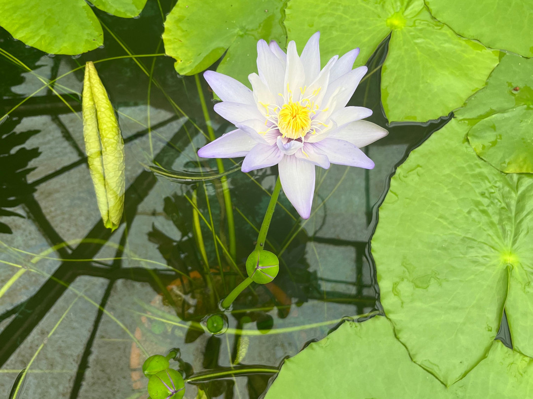 Botanical Garden-布拉迪斯拉发必去景点