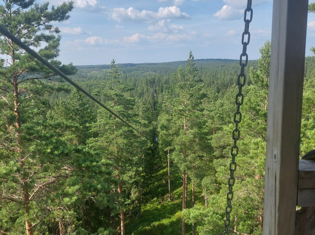 Sweden Zipline-Klavrestrom必去景点