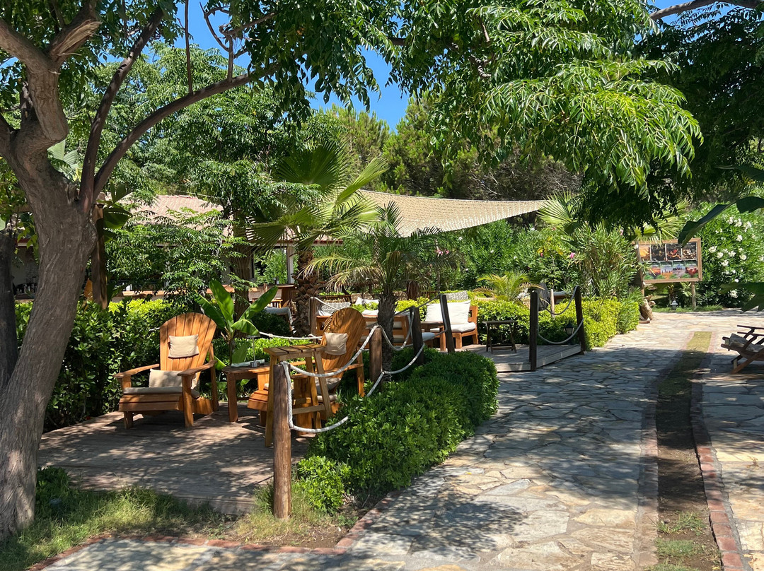 Dirik Surf & Beach Club Hotel主图
