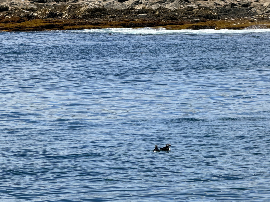 Monhegan Boat Line-Port Clyde必去景点