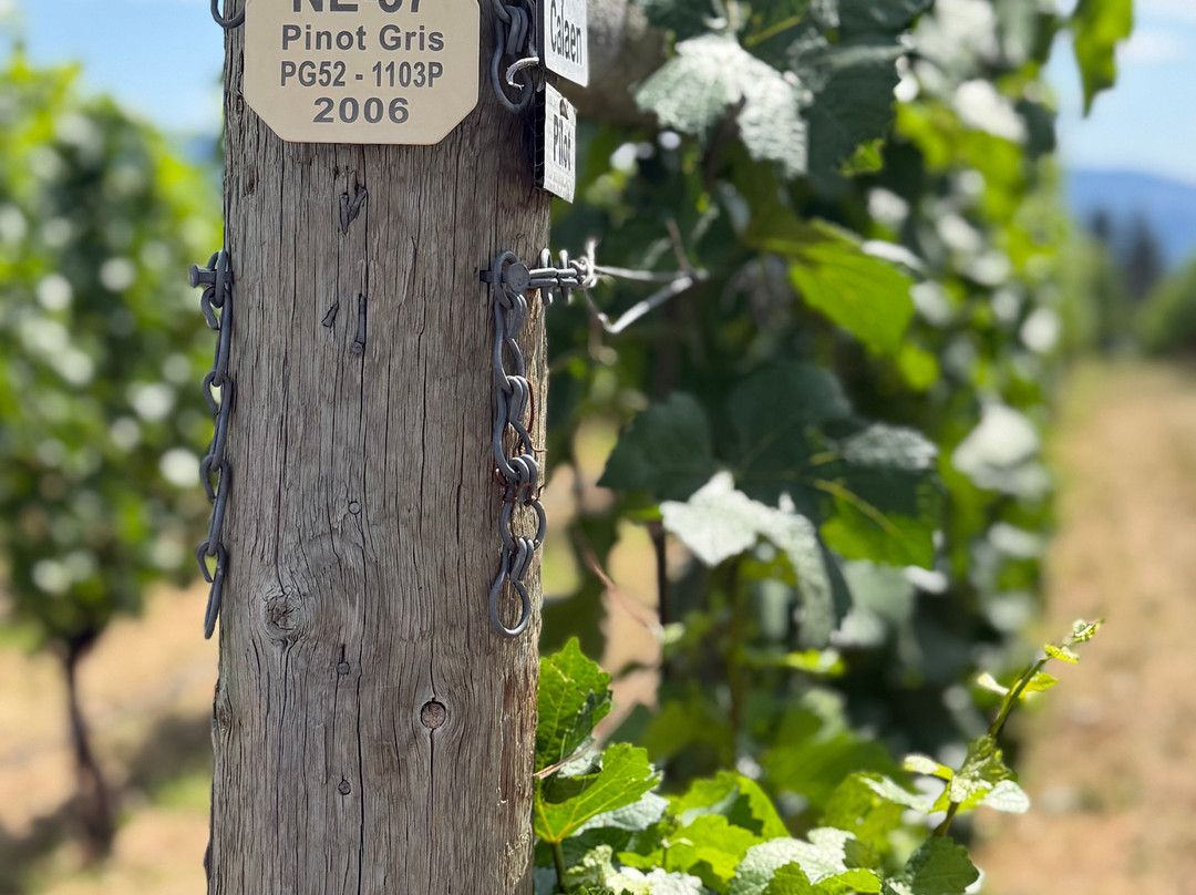 Haywire Winery-萨默兰必去景点