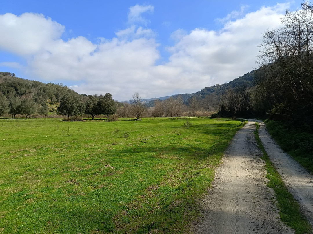 Cammino del Normanno