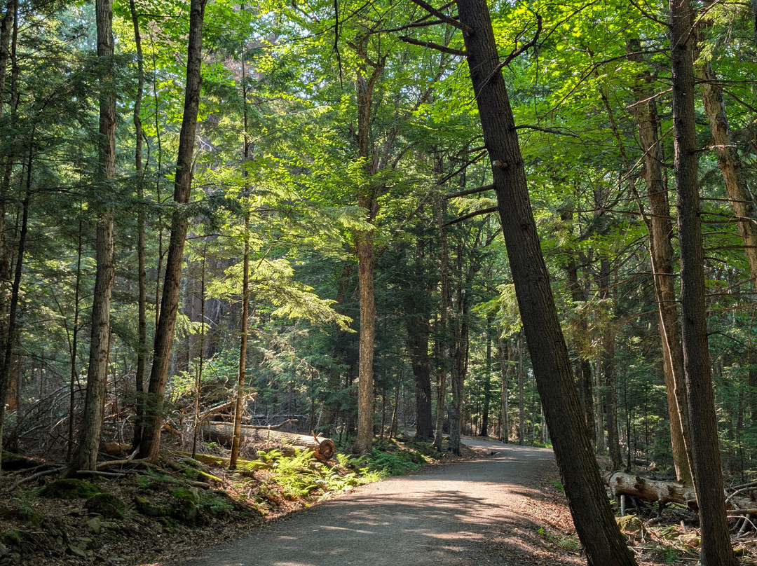 Odell Park-弗雷德里克顿必去景点