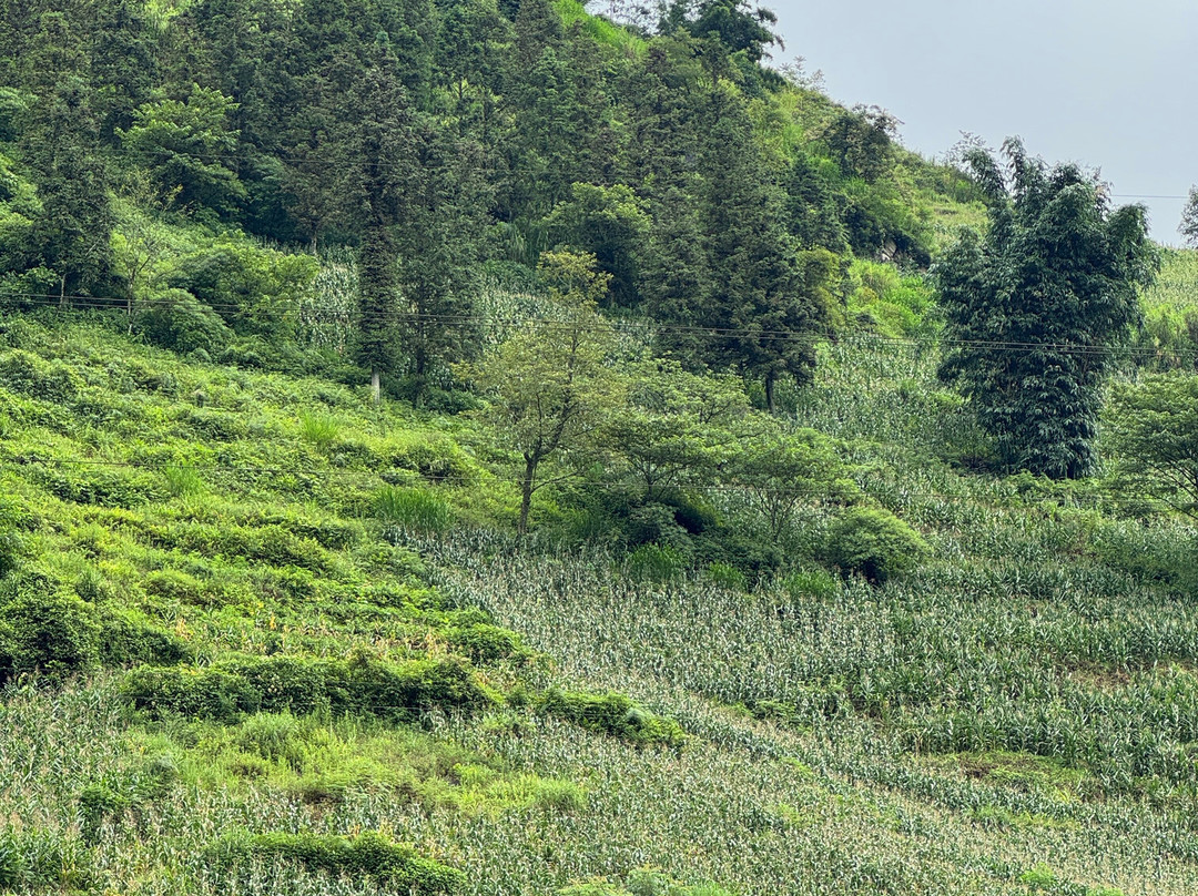 Dream Travel-河内必去景点