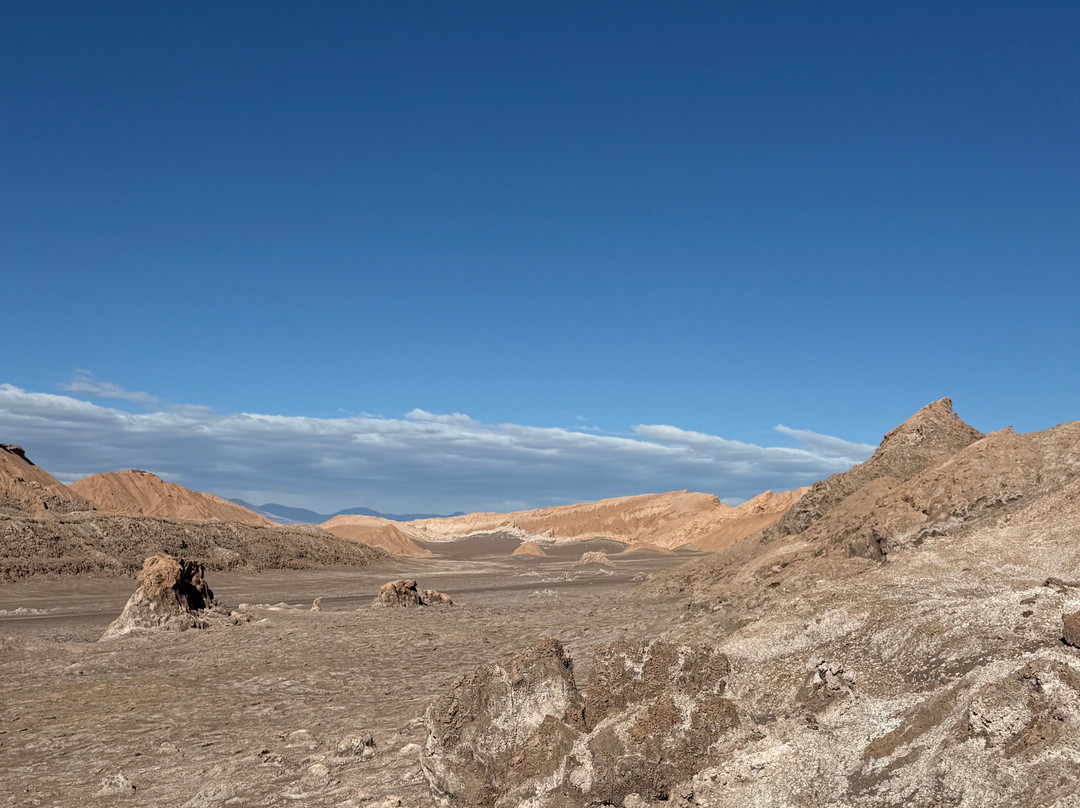 Atacama Dessert-安托法加斯塔大区必去景点