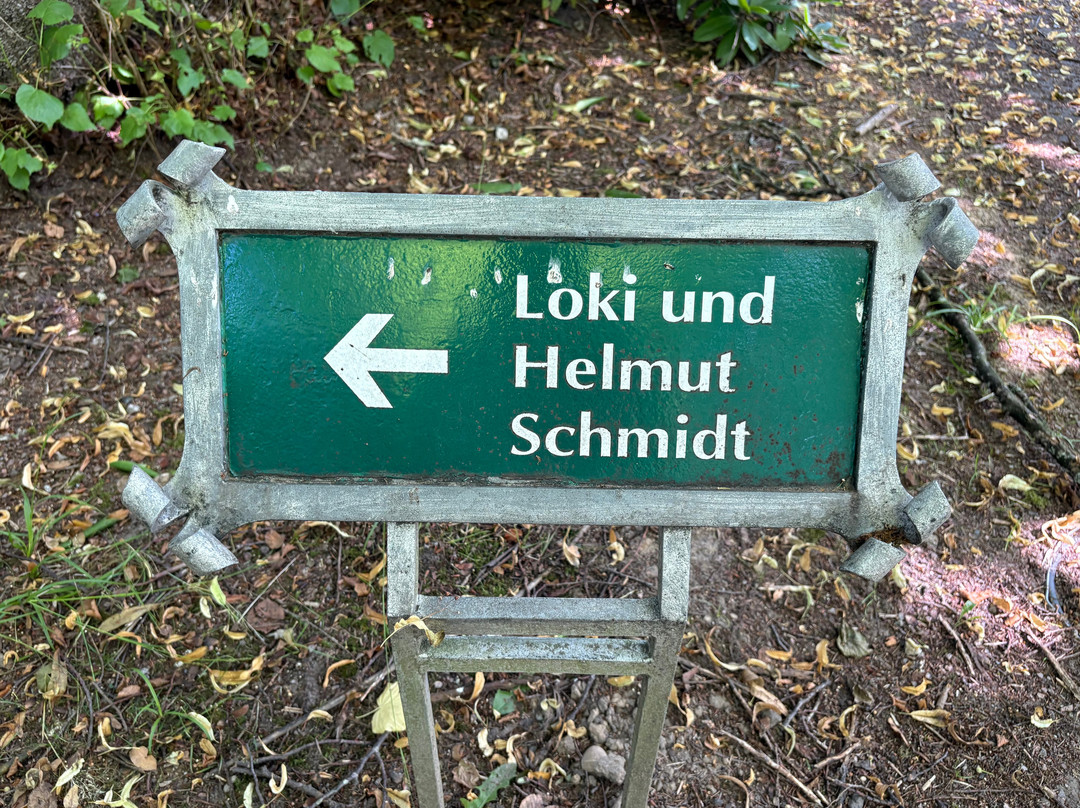Ohlsdorf Cemetery-汉堡必去景点