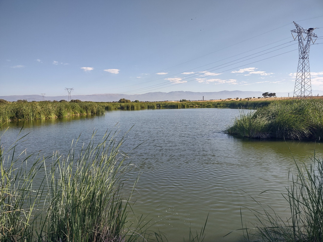 Monfrague Natural Ecoturismo-Malpartida de Plasencia必去景点