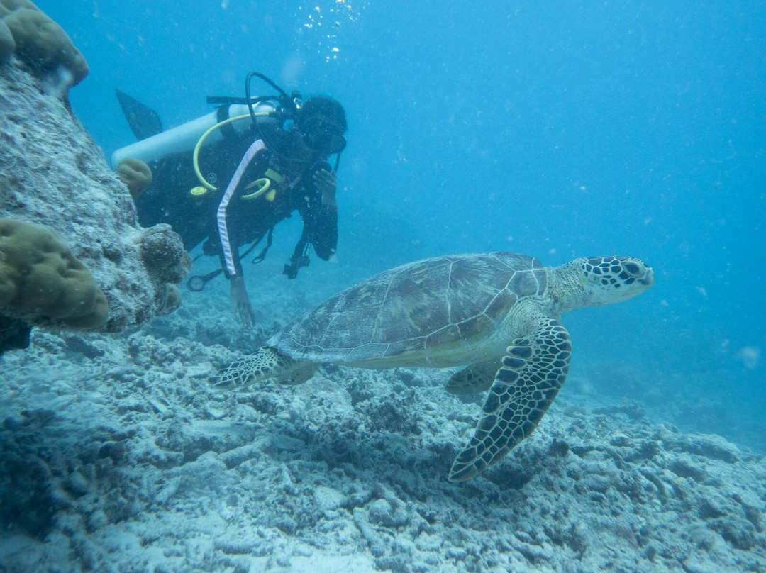 Addu Scuba Dive Maldives-阿斯杜太阳岛必去景点