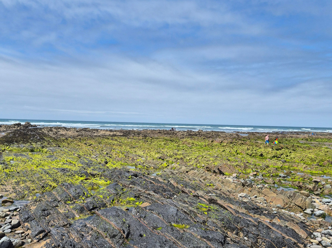 Black Rock Beach-Widemouth Bay必去景点