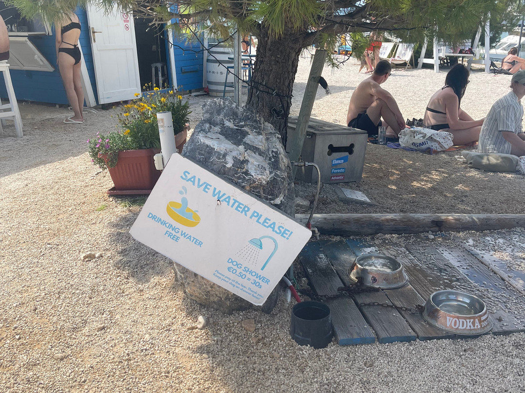 Monty's Dog Beach and Bar-斯利维尼萨必去景点