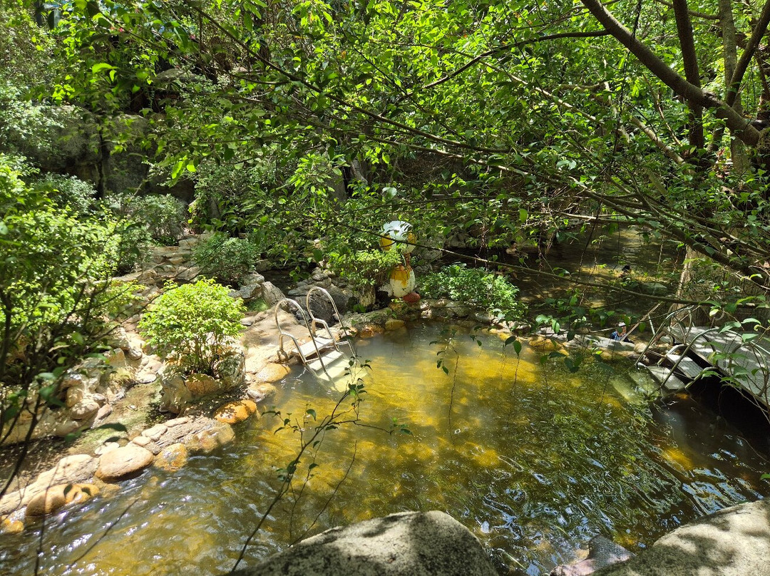 Hot spring Park-岘港必去景点