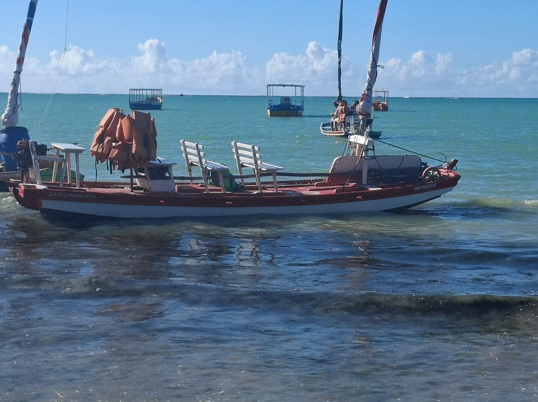 Piscinas Naturais De Pajucara-Maceio必去景点