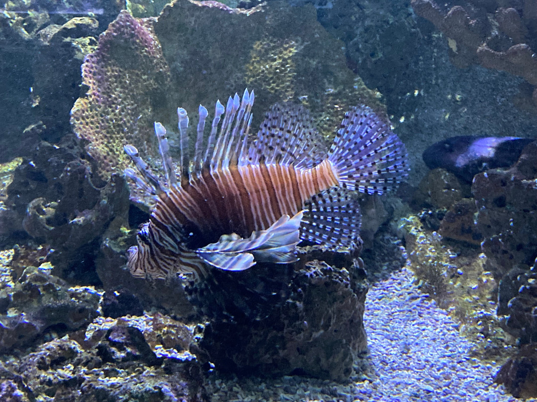 Aquarium du Limousin-利摩日必去景点