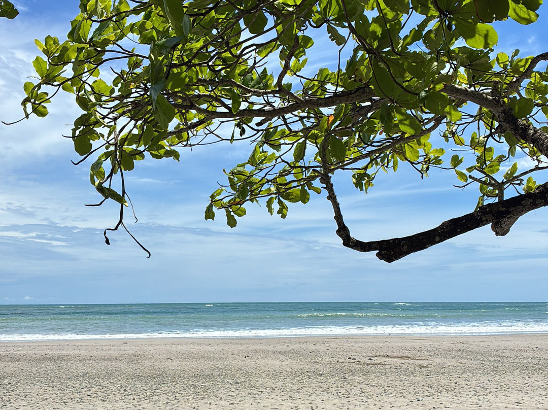 Playa Manzanillo-Manzanillo必去景点