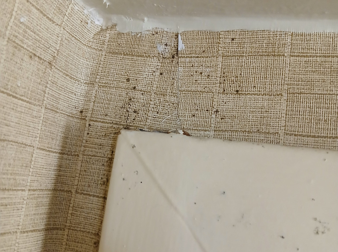 辛辛那提东门假日酒店主图