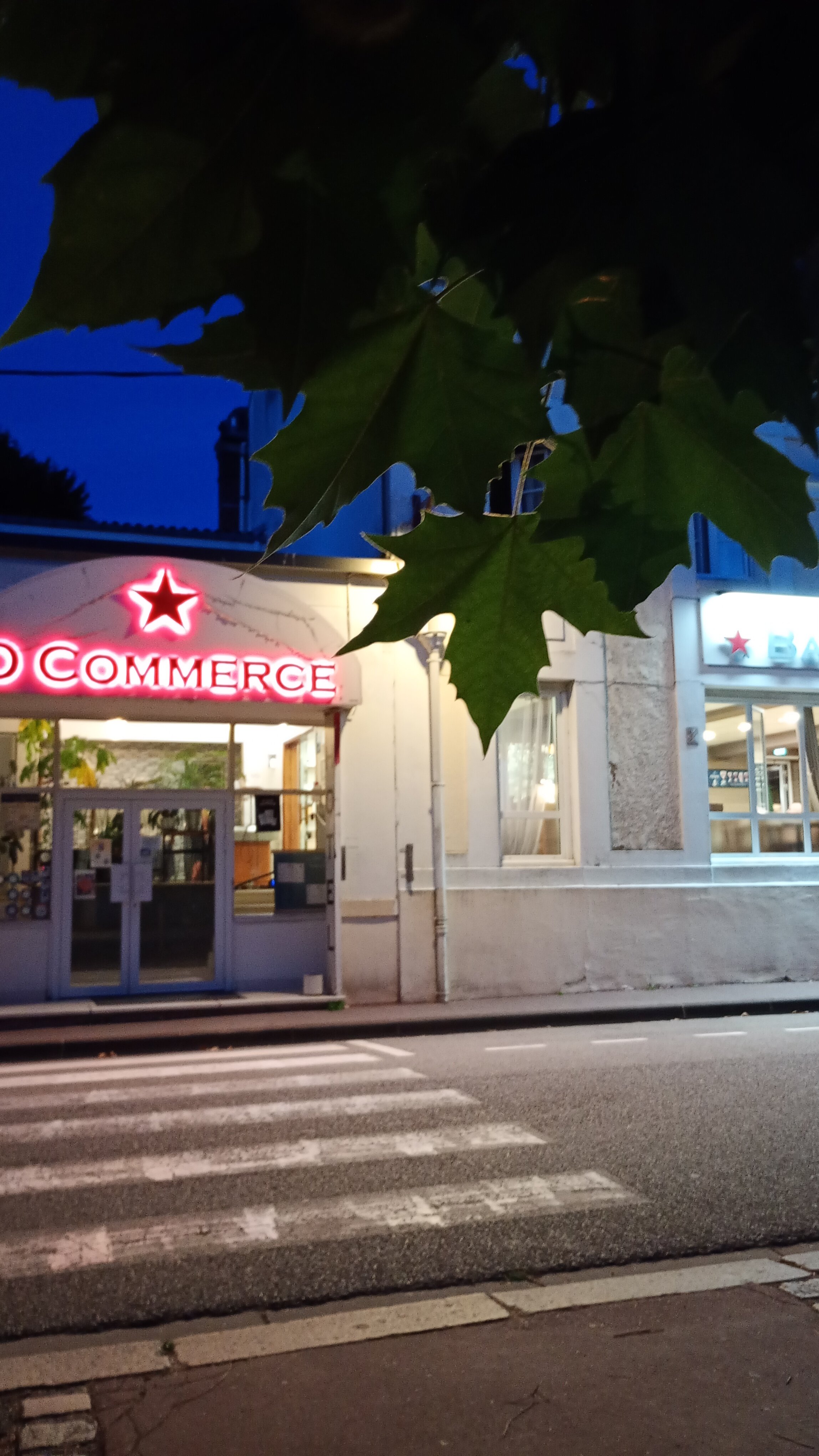 Hotel du Commerce-旅行者