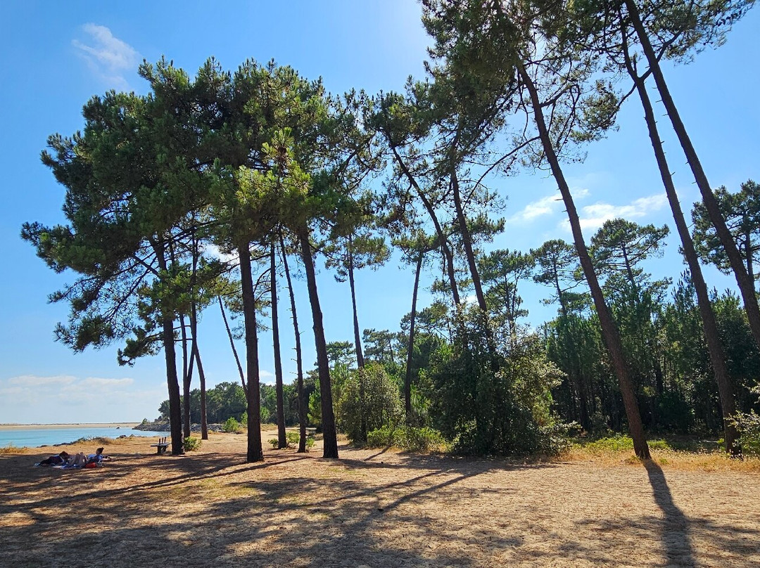 Plage de Gatseau-奥莱龙岛必去景点