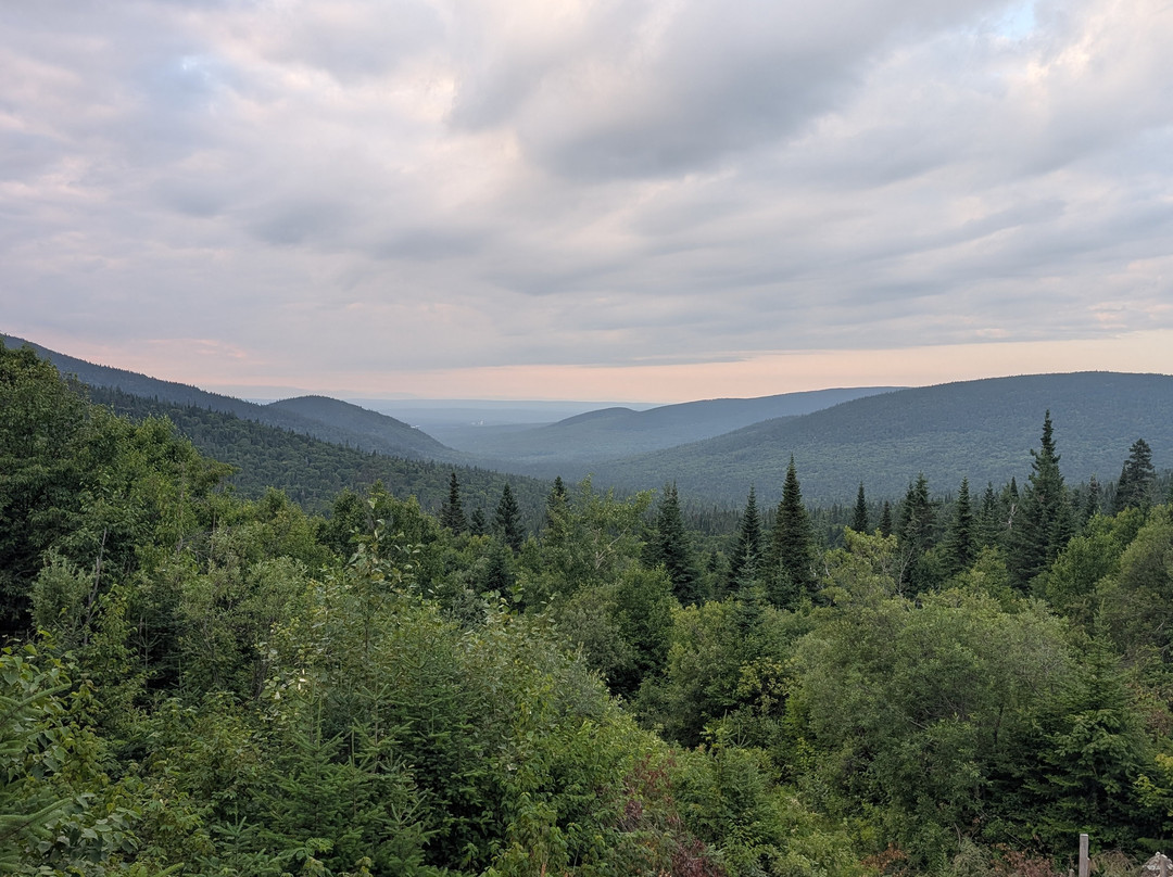 Safari gourmand en côte à côte: Éoliennes & Dégustations locales-Saint-Philemon必去景点