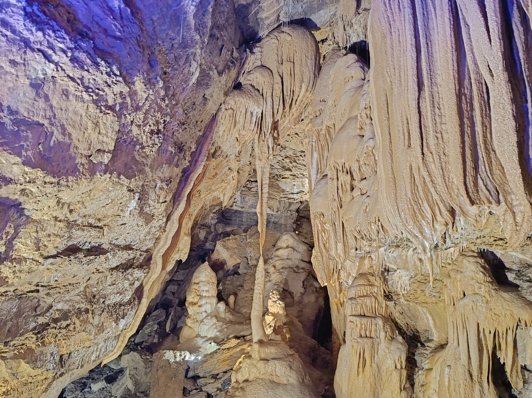 Grotte de Trabuc-Mialet必去景点