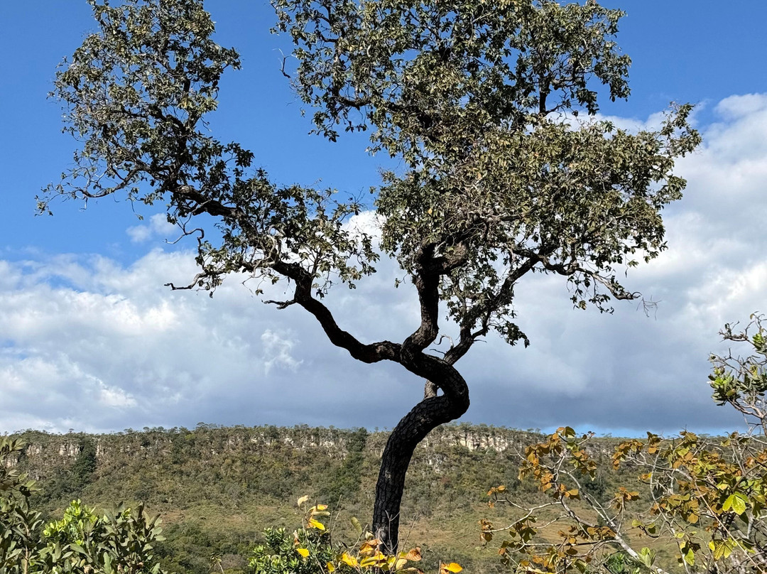Sertão Veadeiros Ecoturismo-Cavalcante必去景点