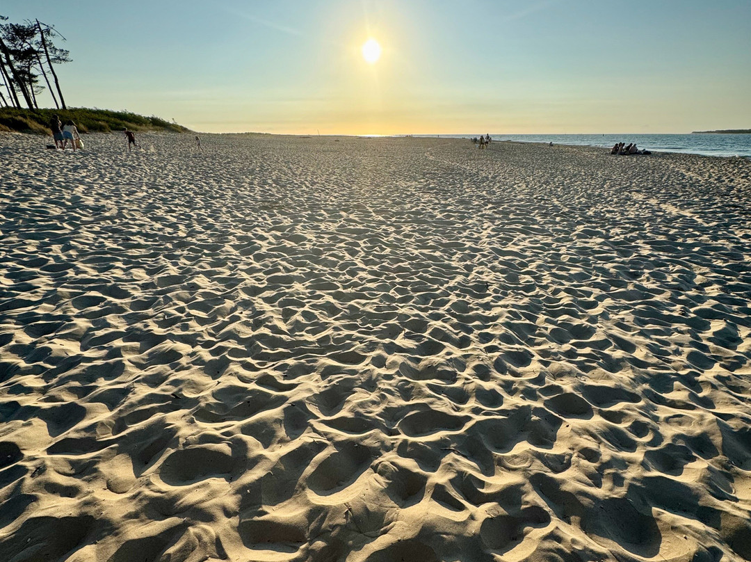 Plage De l'Embellie-Ronce-les-Bains必去景点