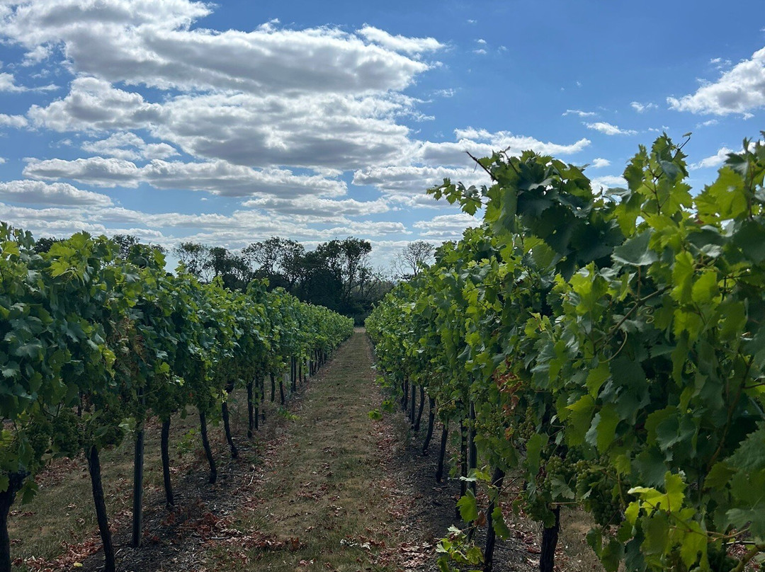 Westwell Wine Estate-Charing必去景点