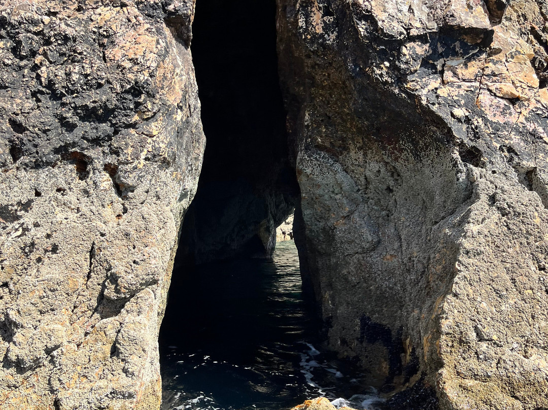 Vedettes Sirenes - Grottes Marines de Morgat-Morgat必去景点