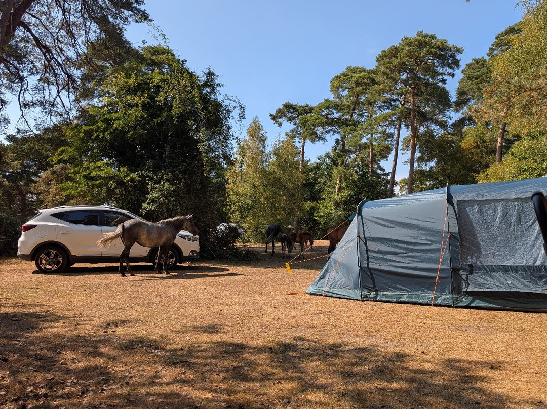 Roundhill Campsite