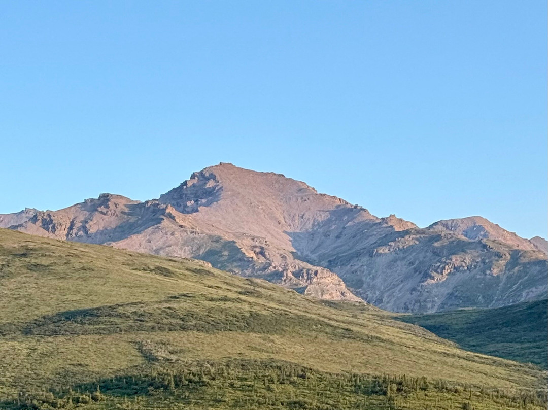 Denali Black Diamond Covered Wagon-Denali Park必去景点
