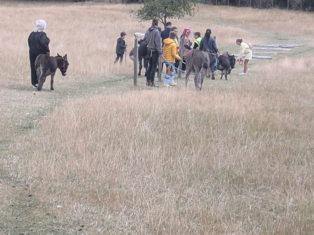 Moel Famau Donkeys-Llanferres必去景点