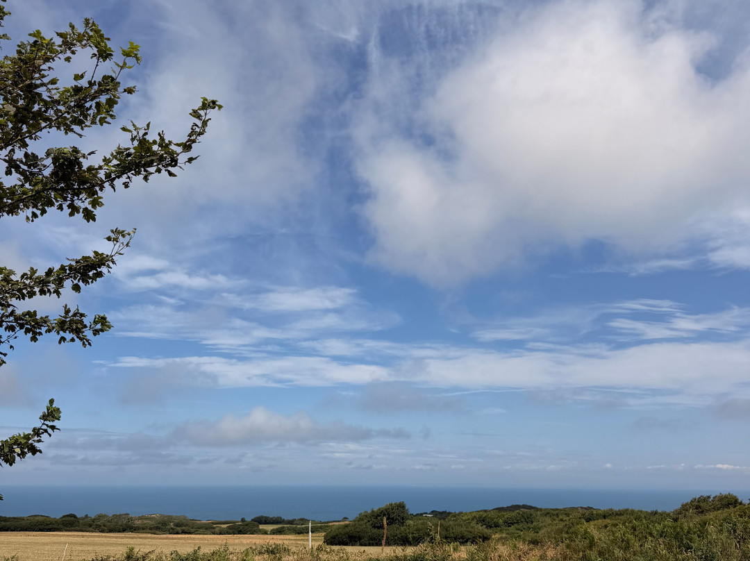 Warcombe Farm Camping Park主图