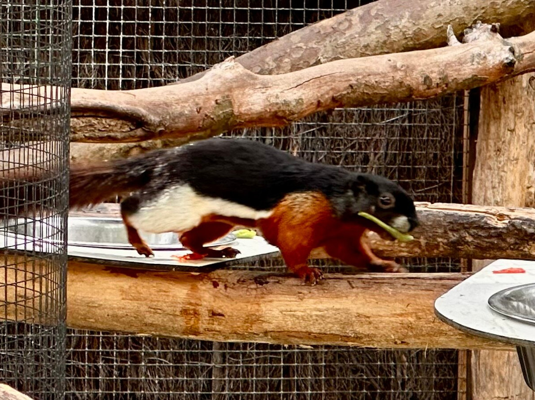 Zoo de Lille-里尔必去景点