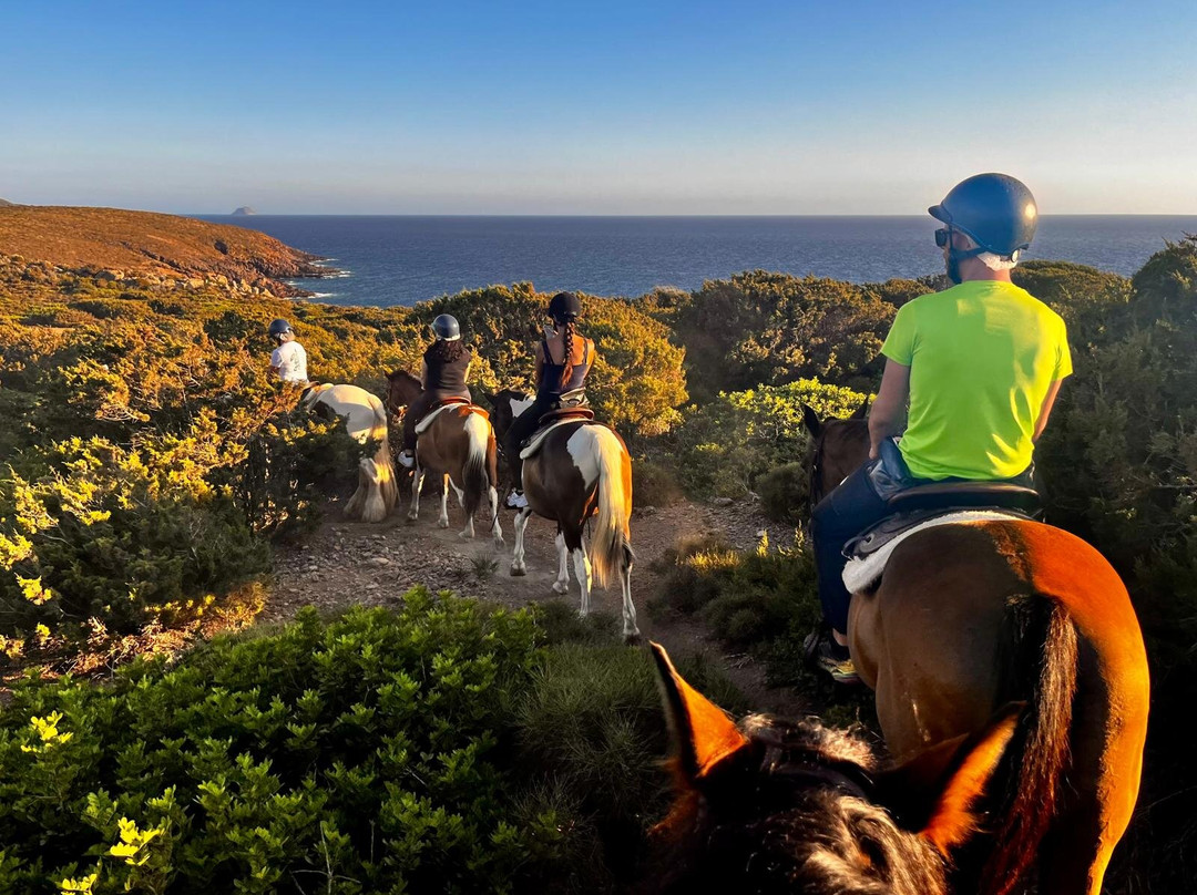Carolina Ranch Escursioni e Tour-Sant'Antioco必去景点