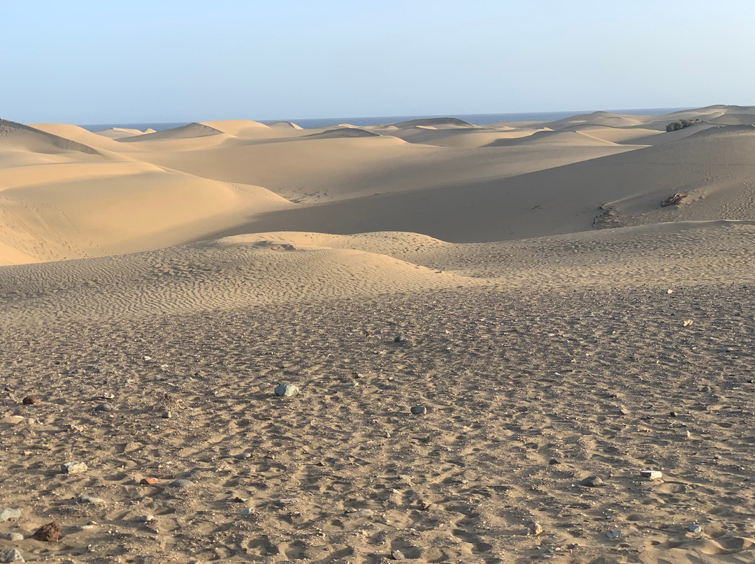 Reserva Natural Especial de Las Dunas de Maspalomas-马斯帕洛马斯必去景点