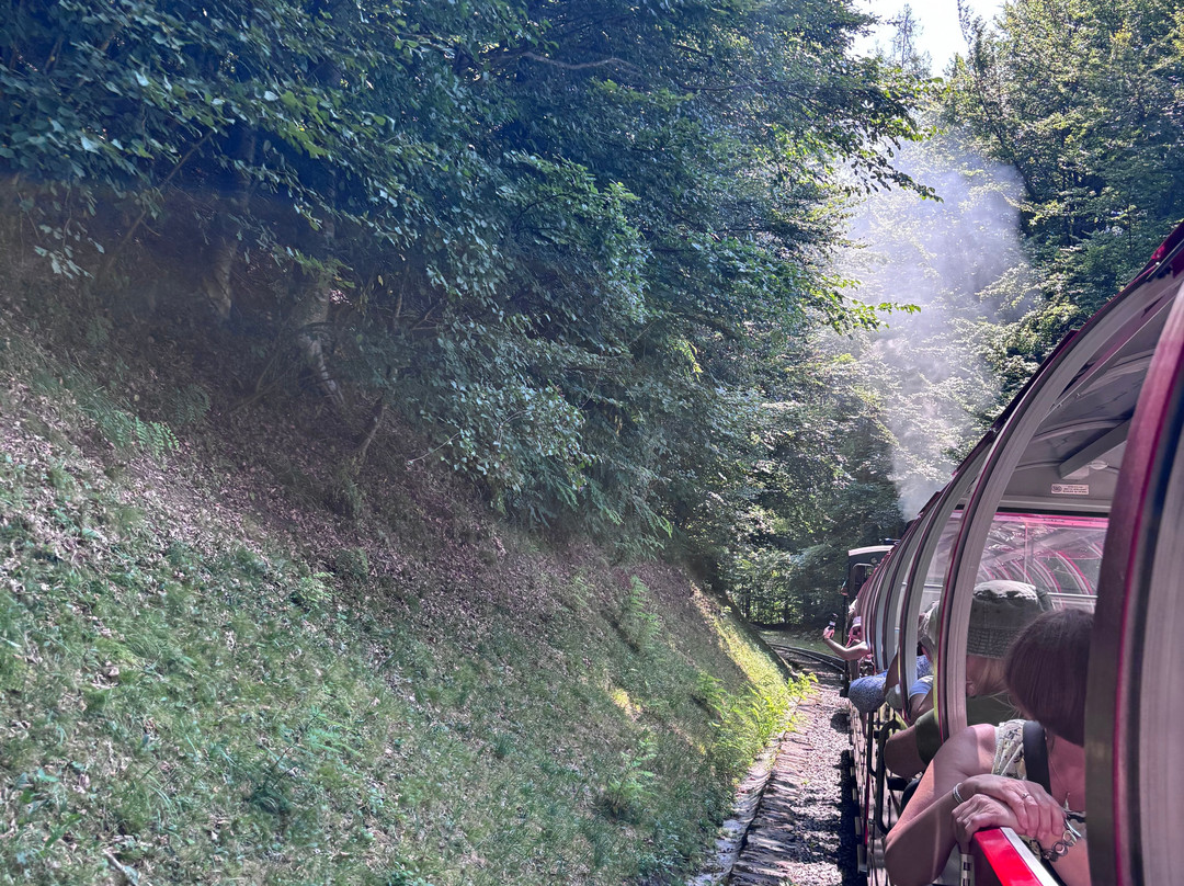 Brienz Rothorn Bahn-布里恩茨必去景点