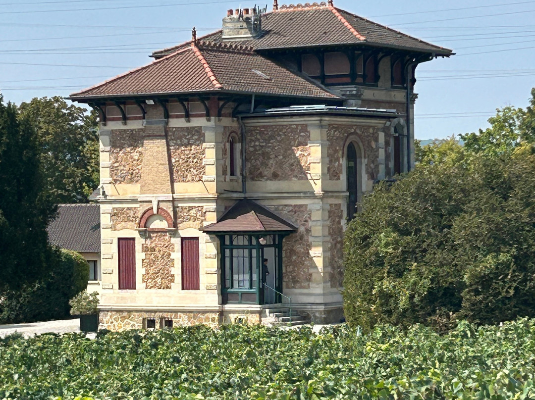 Champagne A. Lété-Damery必去景点