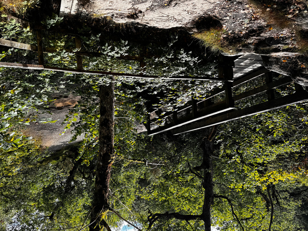 Aira Force-Matterdale End必去景点