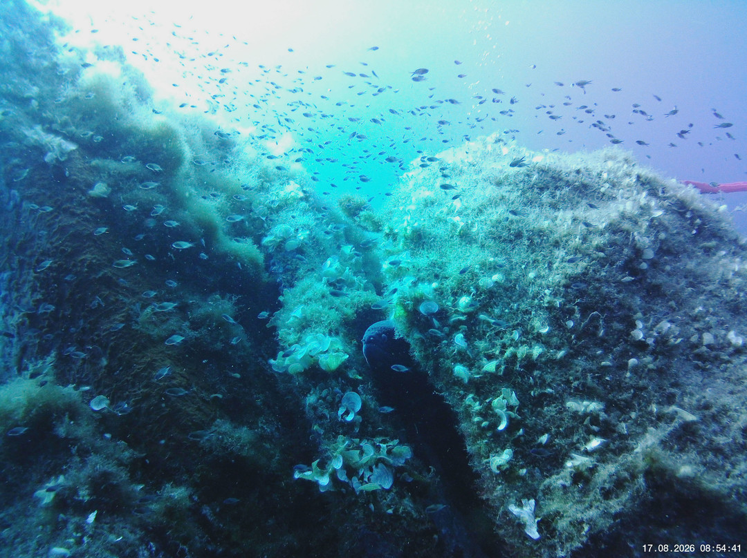 Abyssos Diving School & Snorkeling-Capo Comino必去景点