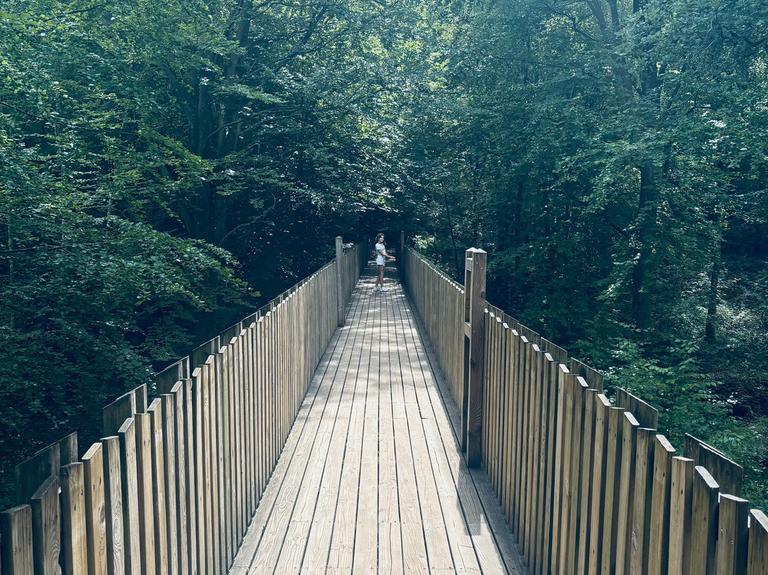 Parc Forestier Récréatif Chlorophylle-Manhay必去景点