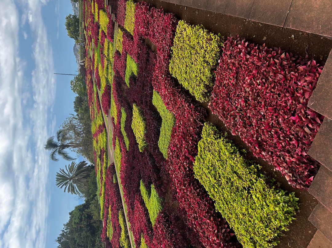 Madeira Botanical Garden-沙尔必去景点