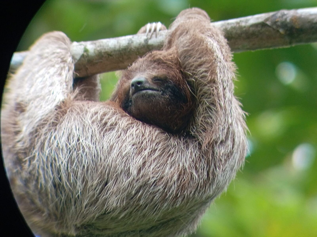 Issys Tours Costa Rica-萨迪纳尔必去景点