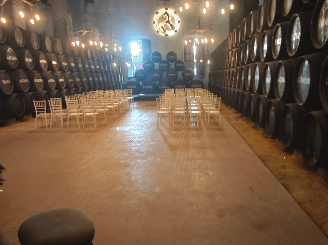 Bodegas Hidalgo La Gitana-Sanlucar de Barrameda必去景点
