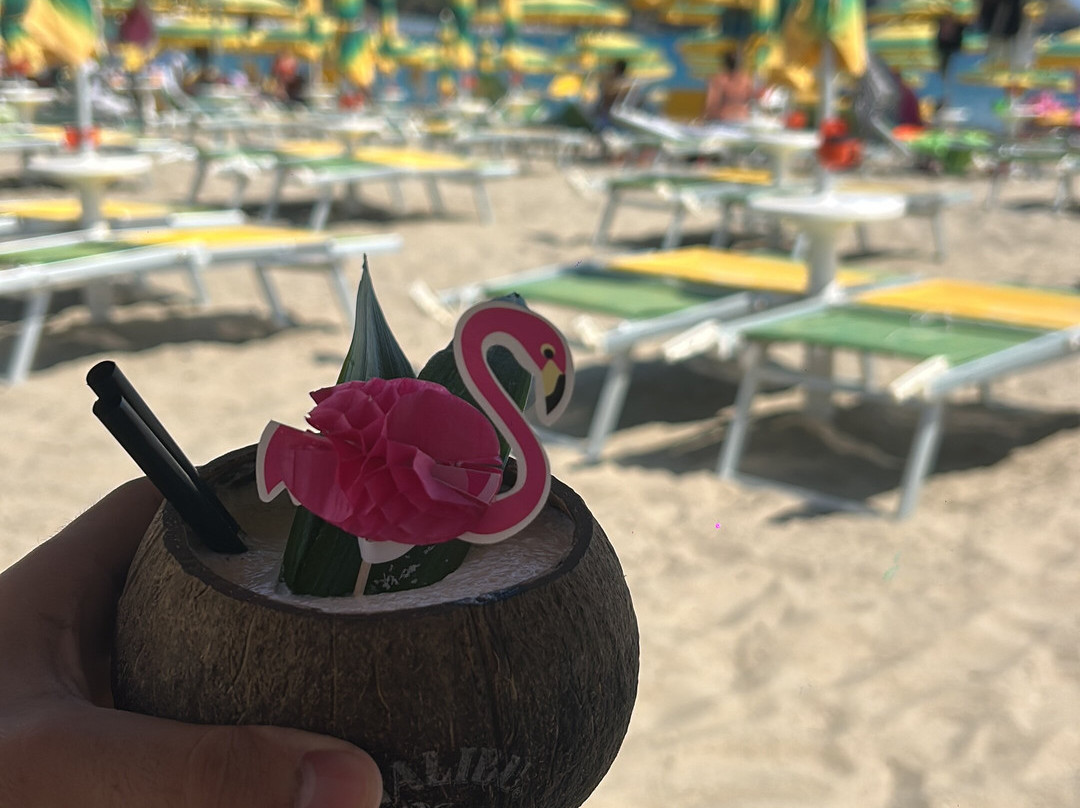 Playa El Flamingo-Marina di Camerota必去景点