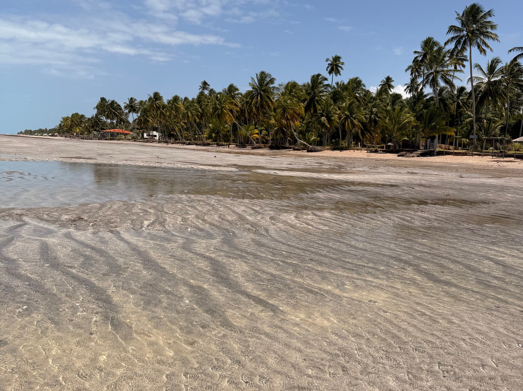 Antunes Beach-Maragogi必去景点