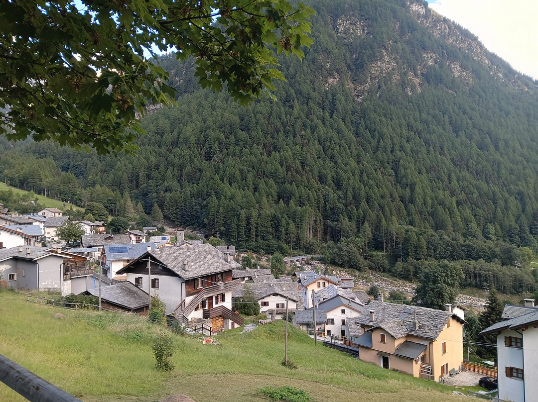 Albergo Stella Alpina主图