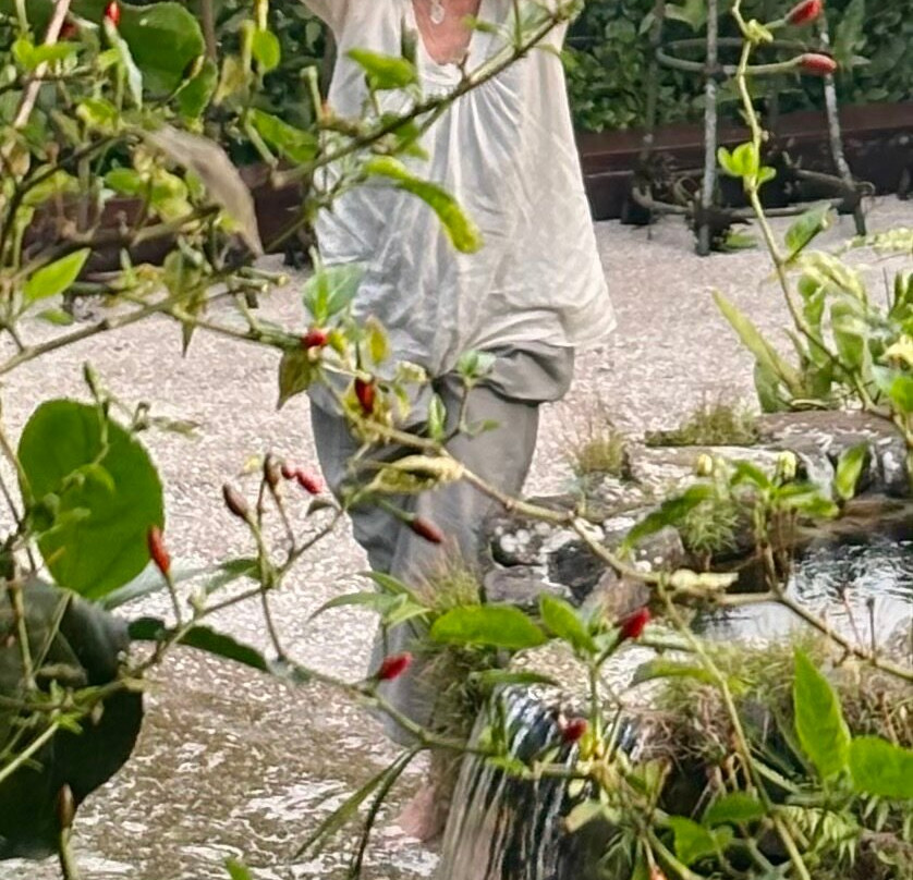 Amrtasiddhi Ayurvedic Center-乌布必去景点