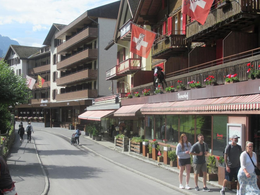 Wengen Tourismus-翁根必去景点
